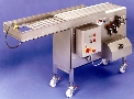 Shuttle Conveyor transfers product between belt widths.