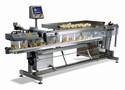 Bagging Equipment withstands daily washdowns.