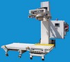 Custom Bulk Bag Filler comes with integral check scale.