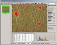 Software facilitates color- and texture-based inspection.