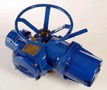 Electronic Valve Actuator supports multiple languages.