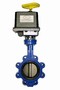 Butterfly Valves suit chemical and wastewater applications.