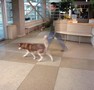 Epoxy Floor Coating is VOC-compliant in all 50 states.