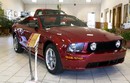 Floor Display targets automobile showrooms.