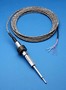 Temperature Sensor operates in nuclear power plants.