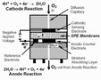 
RAE Systems Receives U.S. Patent for Oxygen Sensor
