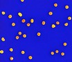 NIST issues reference standards for nanoscale particles.