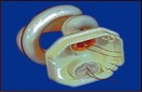 Low Expansion Epoxy withstands temperatures to 500°F.