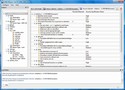 Software IDs security vulnerability, meets CERT C standard.