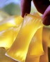 Hot Melt Adhesives come in finger-sized packages.