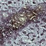 
Silver Membranes Preferred for Silica Testing
