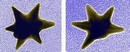 NIST publishes paper on gold nanostars.
