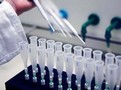 
Top Performance in FAPAS Proficiency Testing by MIP Technologies Using SupelMIP(TM) SPE for Quantification of Chloramphenicol in Prawns
