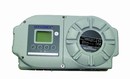 Oxygen Gas Analyzer includes pressure compensation system.
