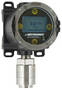 Display provides non-instrusive gas detector calibration.
