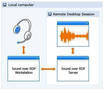 Software connects computer to remote audio source.