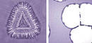 NIST Scientists gain insight into polymer film instability.