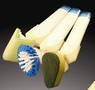 
HandsFree Applicator Tubes Introduces Tube Tools
