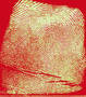 New Technology found to be efficient in fingerprint matching.