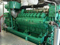 
Rose Poultry Relies on Cummins Power Generation Cogeneration to Power Production Operations
