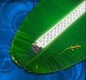 LED T8 Tube Lights replace fluorescents to conserve energy.