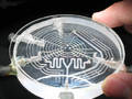 Microfluidic Palette aids study of biological processes.