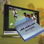 IC offers 10-bit programmable gamma reference system.