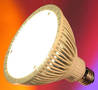 Frosted Floodlights are designed to be energy-efficient.