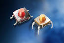 Tactile Switches withstand harsh automotive environments.
