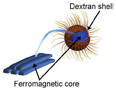 Therapeutic Nanoparticles may help kill cancer cells.