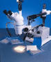 Thermal Adhesive Film provides electrical insulation.