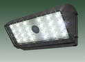 LED Floodlight Luminaire suits wall washing/security.