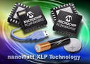 USB/General Purpose Microcontrollers offer 20 nA sleep current.