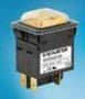 Dual-Pole Circuit Breaker come with protective cover.