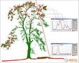 Airborne Laser Scanner provides high pulse rate.