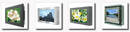 Industrial Grade Monitors target various applications.