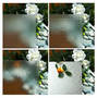 Acid Etched Glass targets architectural applications.
