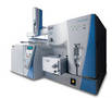 Triple Quadrupole GC-MS provides low femtogram sensitivity.
