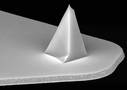 Nitride Lever Probes enable high-resolution AFM imaging.