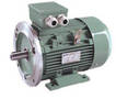 NEMA AC Motors come in 42, 48, and 56 frame sizes.
