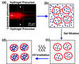 Liposome-Hydrogel Hybrid Research investigates drug delivery potential.