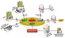Communication Monitoring Software includes video QoS feature.