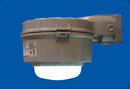 
SAFR LED Series Lens Options
