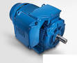 
Pro Dyne Announces New Energy Efficient Electric Motor from WEG
