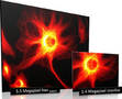 Scientific CMOS Camera provides 4 GB on-head image memory.