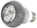 Direct Replacement LED Lamps have ENERGY STAR® approval.