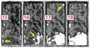
Viewing Nondestructively in 60-Micron Slices
