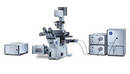 Microscopy System enables users to perform FRAP.