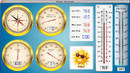 Modular Weather Stations support Mac software.