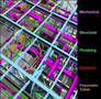 
Notifier Releases BIM Fire Alarm Models
